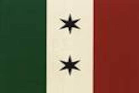 Coahuila y Tajas Flag.jpg