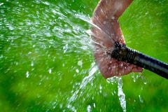 Hand And Hose Squirting Fresh Water On Grass Stock Image - Image of  irrigate, black: 58128639