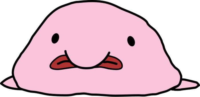 Comical cartoon image of a squished-looking Blobfish