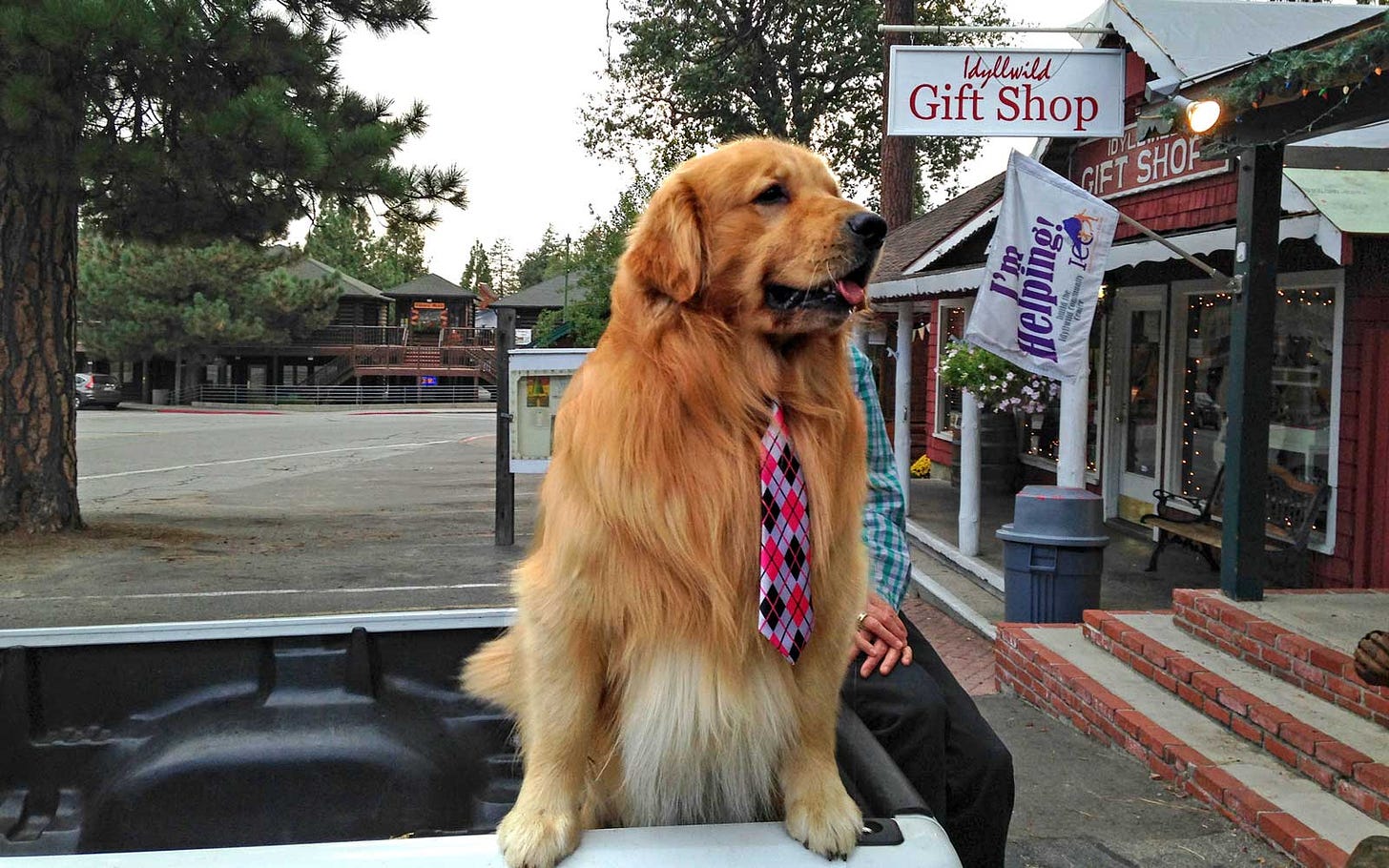 Idyllwild, California's Mayor Max