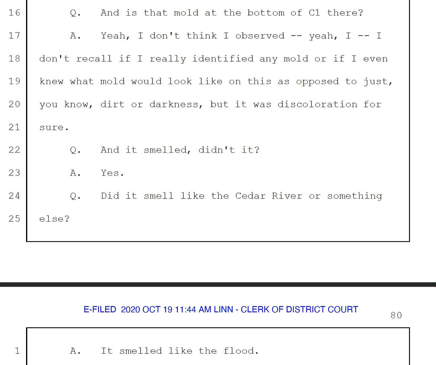 Transcript from court: “And is that mold at the bottom of C1 there?”  “Yeah, I don’t think I observed — yeah, I — I don’t recall if I really identified any mold or if I even knew what mold would look like on this as opposed to just, you know, dirt or darkness, but it was discoloration for sure.”  “And it smelled, didn’t it?”  “Yes.”  “Did it smell like the Cedar River or something else?”  “It smelled like the flood.”