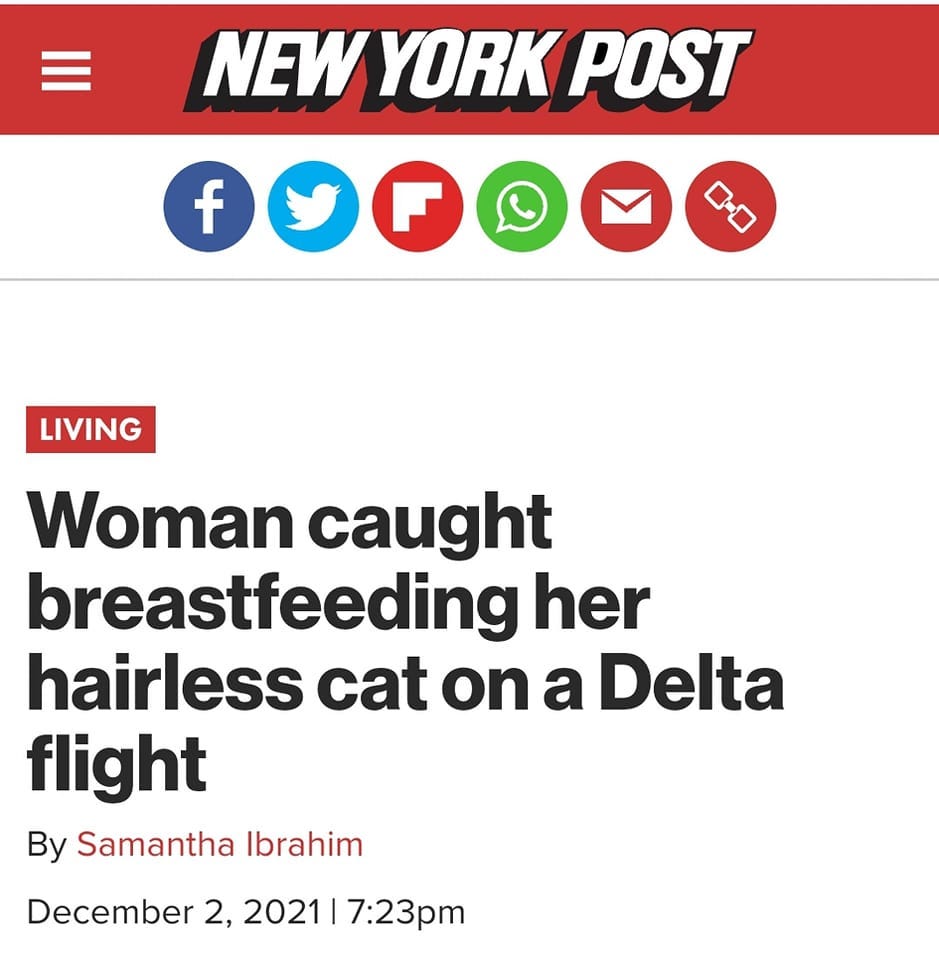 New York Post Woman caught breastfeeding her hairless cat on a Delta flight