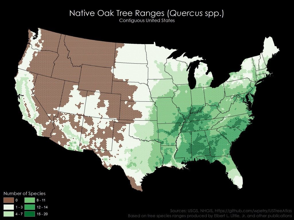 Native Oak Tree Ranges