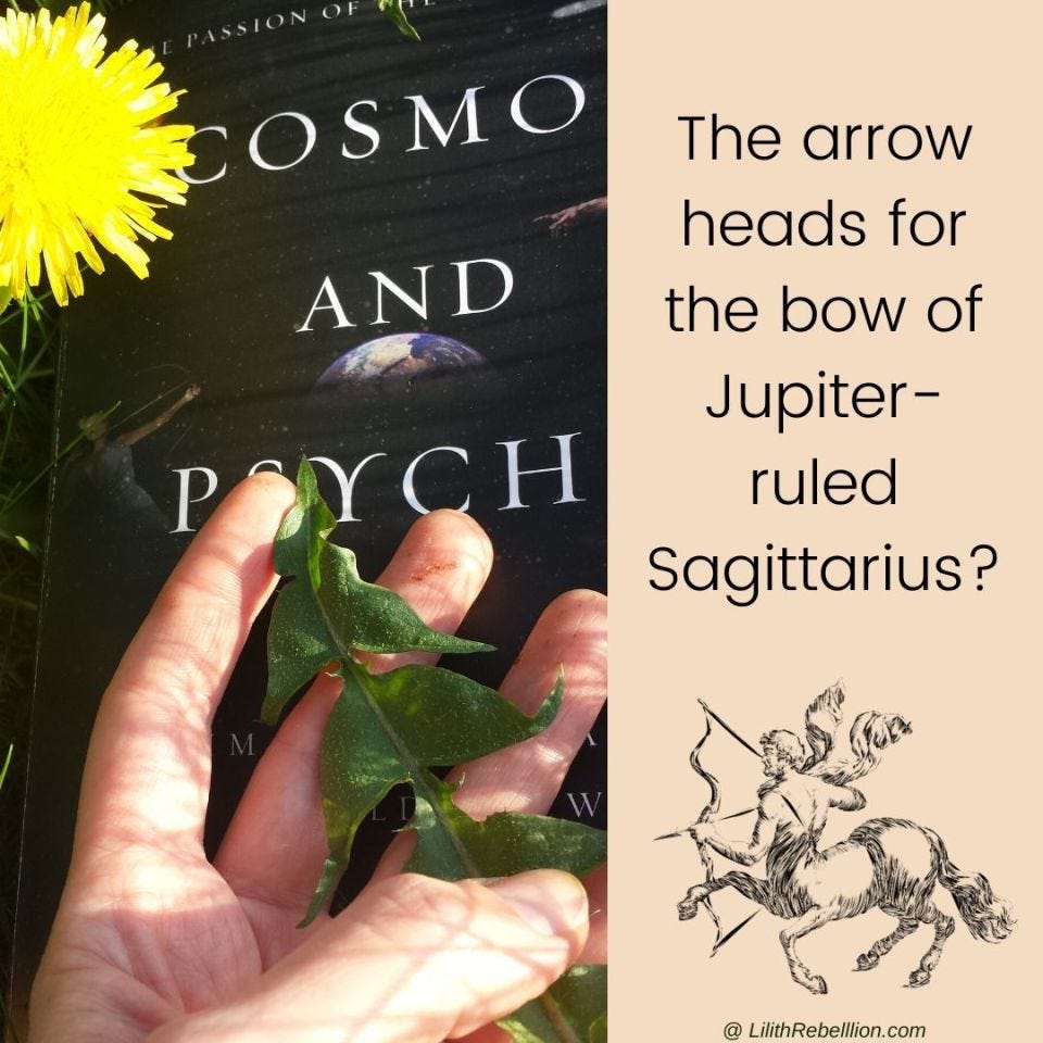 Cosmos and Psyche book on the grass beneath a hand holding a dandelion leaf with the accompanying caption: The arrow heads for the bow of Jupiter ruled Sagittarius?
