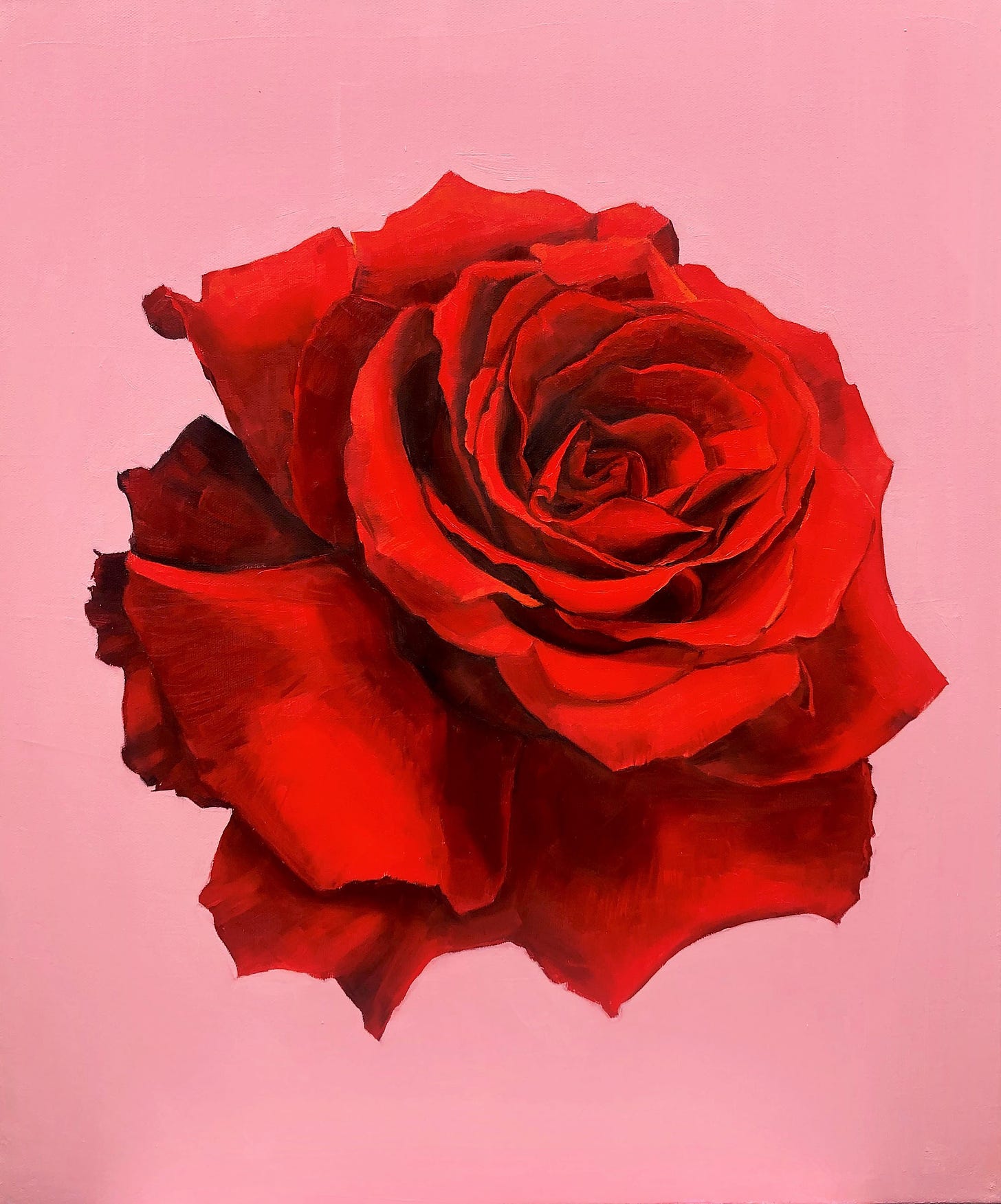 Red Rose - Art Lovers Australia