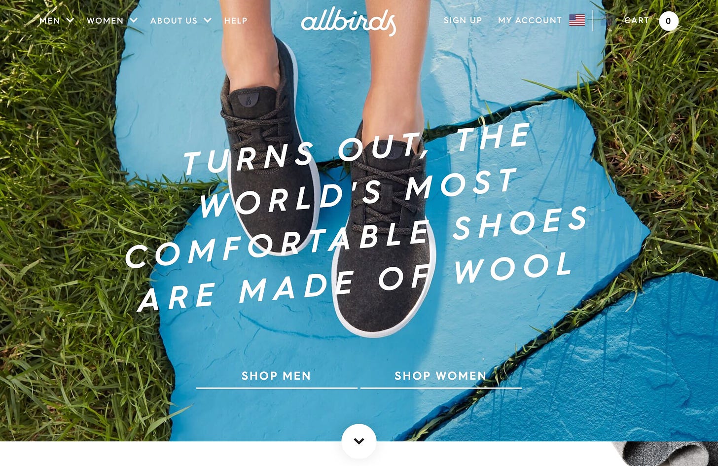 Stitch Fix, Allbirds and the Break-Out Hits in the Fashion Industry