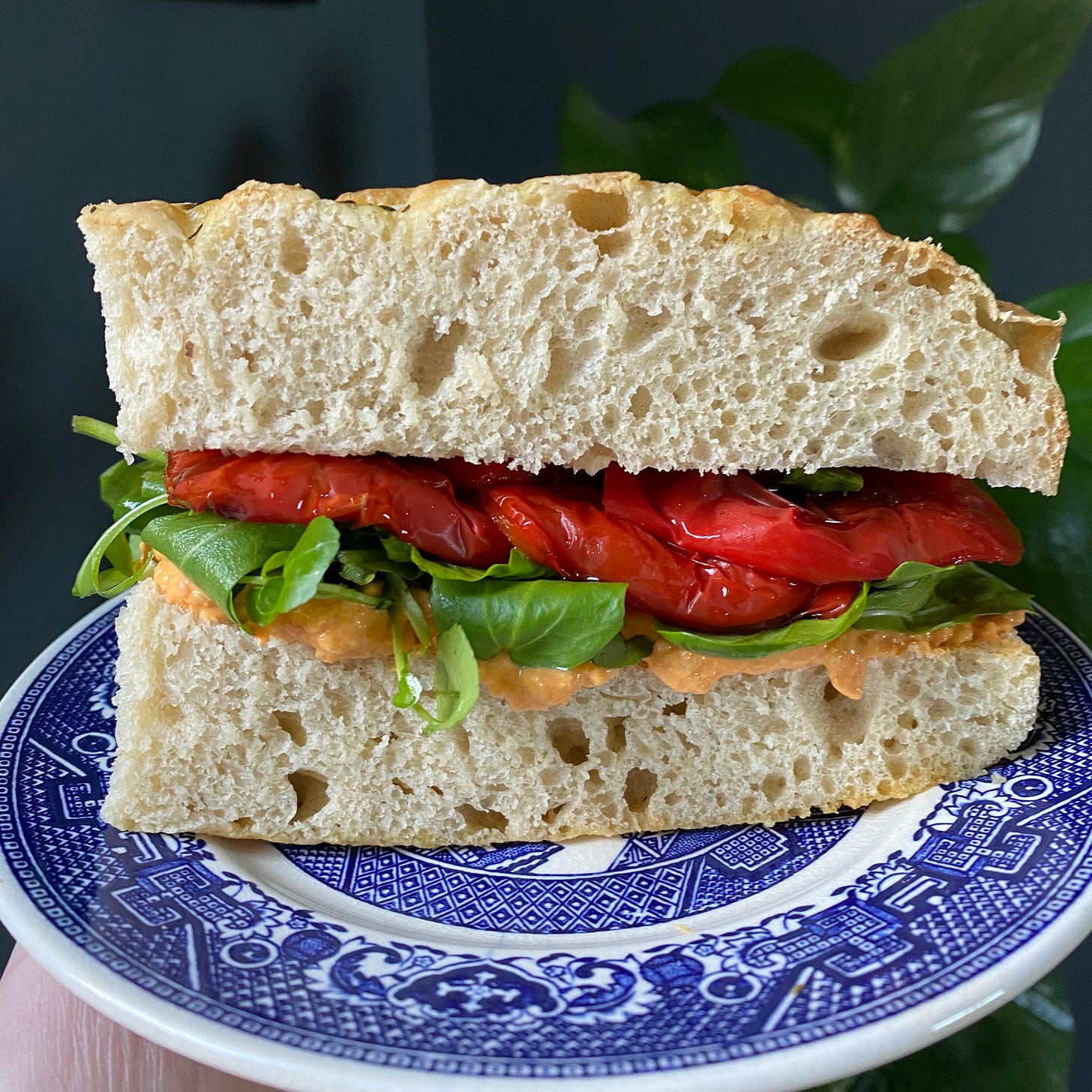 Focaccia sandwich filled with red peppers, salad and houmous