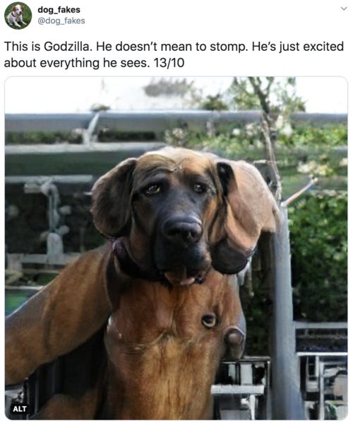 This is Godzilla. He doesn’t mean to stomp. He’s just excited about everything he sees. 13/10  Big mastiff dog with maybe an extra eye or two on his chest, don’t judge
