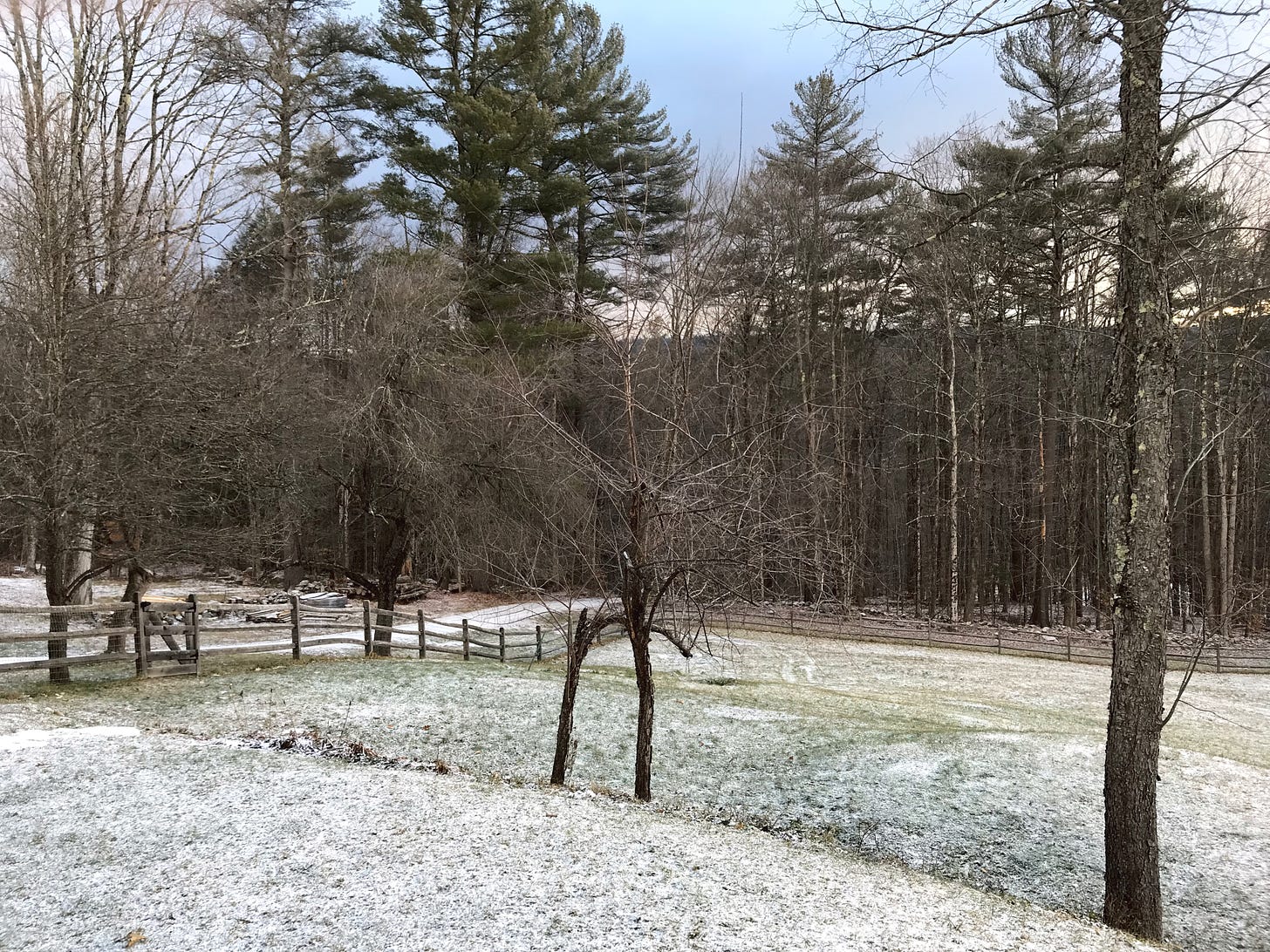 Light dusting of snow in Vermont, January 2022