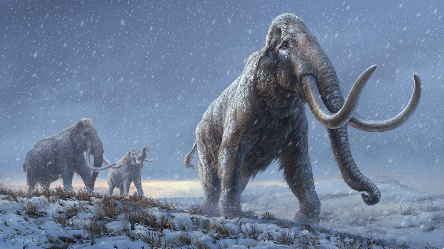 Million-Year-Old DNA Yields Mammoth Surprises | Discover Magazine