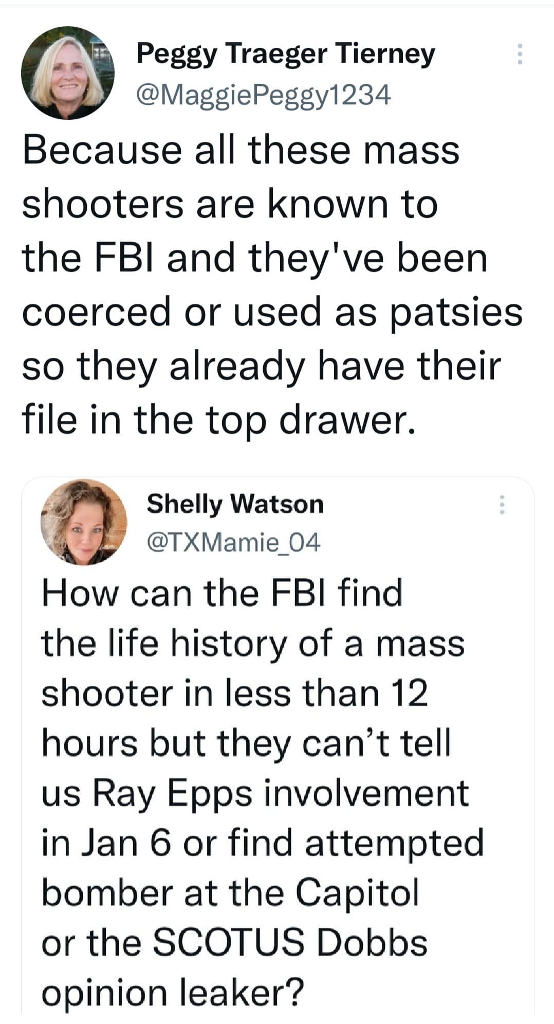 May be a Twitter screenshot of 2 people and text that says 'Peggy Traeger Tierney @MaggiePeggy1234 Because all these mass shooters are known to the FBI and they've been coerced or used as patsies so they already have their file in the top drawer. Shelly Watson @TXMamie_0 How can the FBI find the life history of a mass shooter in less than 12 hours but they can't tell us Ray Epps involvement in Jan 6 or find attempted bomber at the Capitol or the SCOTUS Dobbs opinion leaker?'
