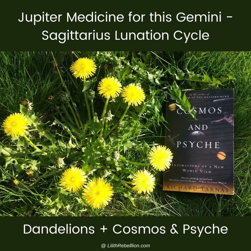 Bright dandelions and grass besides the book "Cosmos and Psyche" by Richard Tarnas