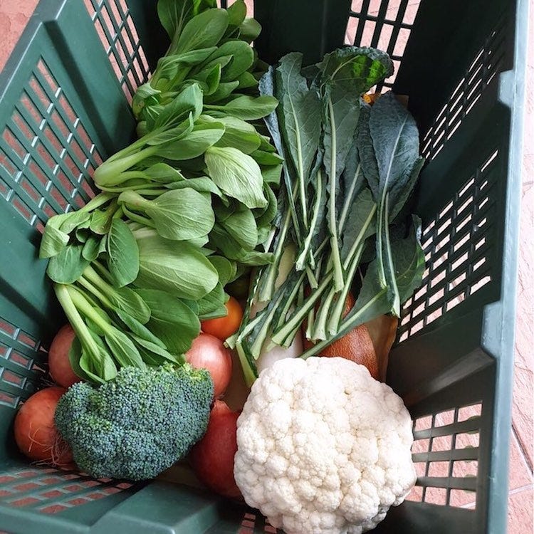 organic produce