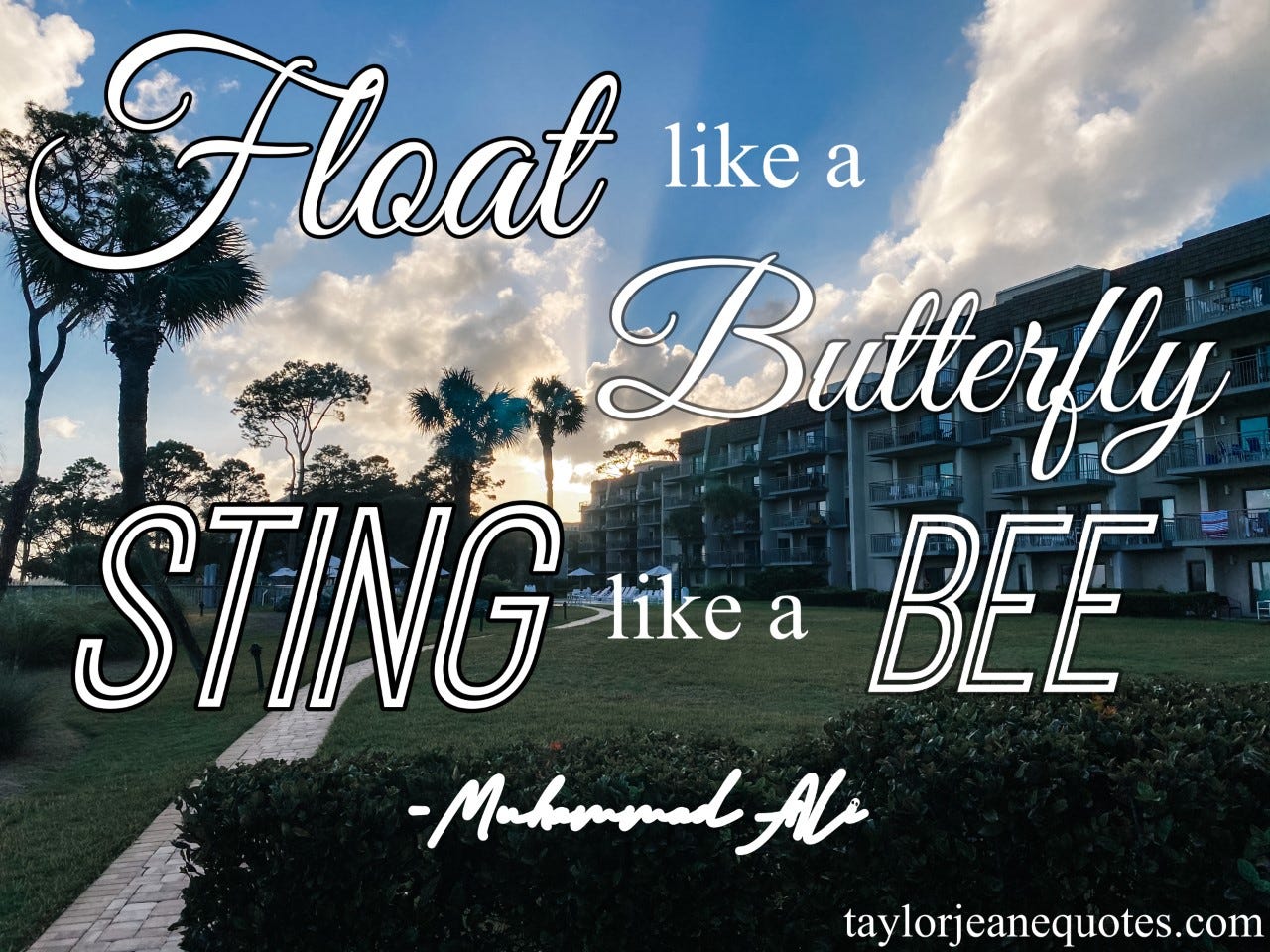 taylor jeane quotes, taylor jeane, taylor wilson, muhammad ali, muhammad ali quotes, float like a butterfly and sting like a bee quote, motivational quotes, inspirational quotes, life quotes, positive quotes
