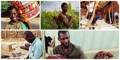 Enhancing the development of microinsurance markets in Africa | The ILO&#39;s  Impact Insurance Facility