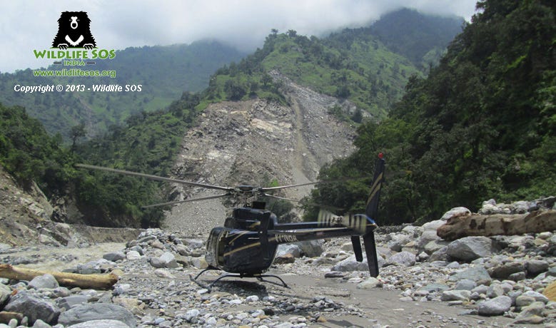 chopper_landed_in_the_area_to_rescue_stranded_mule1_copy