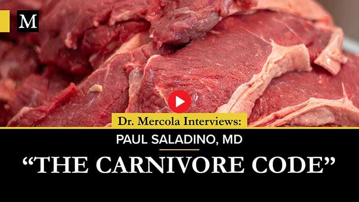 the carnivore code