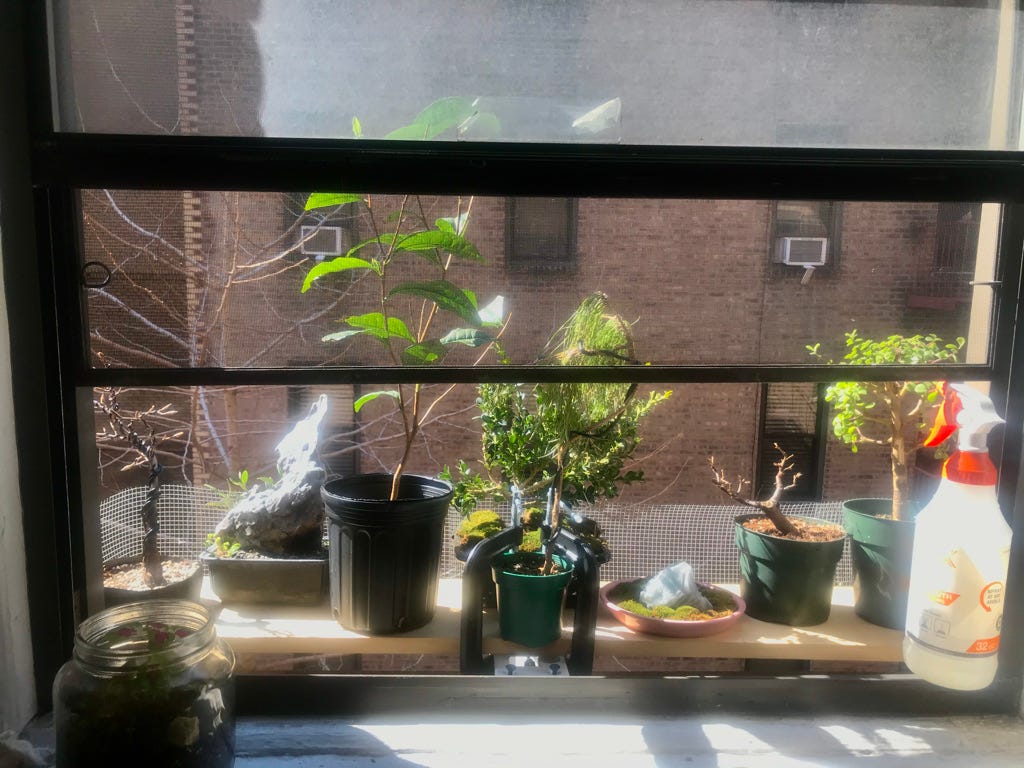 Image description: Open window with wooden plant shelf attached to the outside of the windowsill. End image description.