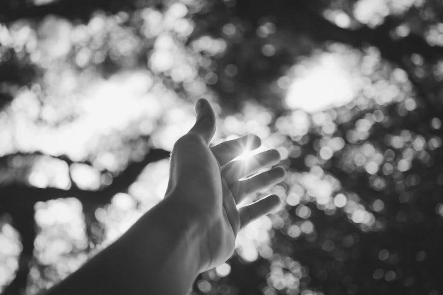 Hand reach up to the tree canopy with sun sparkling between the fingers. Black and white.