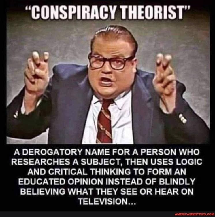May be an image of 1 person and text that says 'CONSPIRACY THEORIST" A DEROGATORY NAME FOR A PERSON WHO RESEARCHES A SUBJECT THEN USES LOGIC AND CRITICAL THINKING TO FORM AN EDUCATED OPINION INSTEAD OF BLINDLY BELIEVING WHAT THEY SEE OR HEAR ON TELEVISION...'