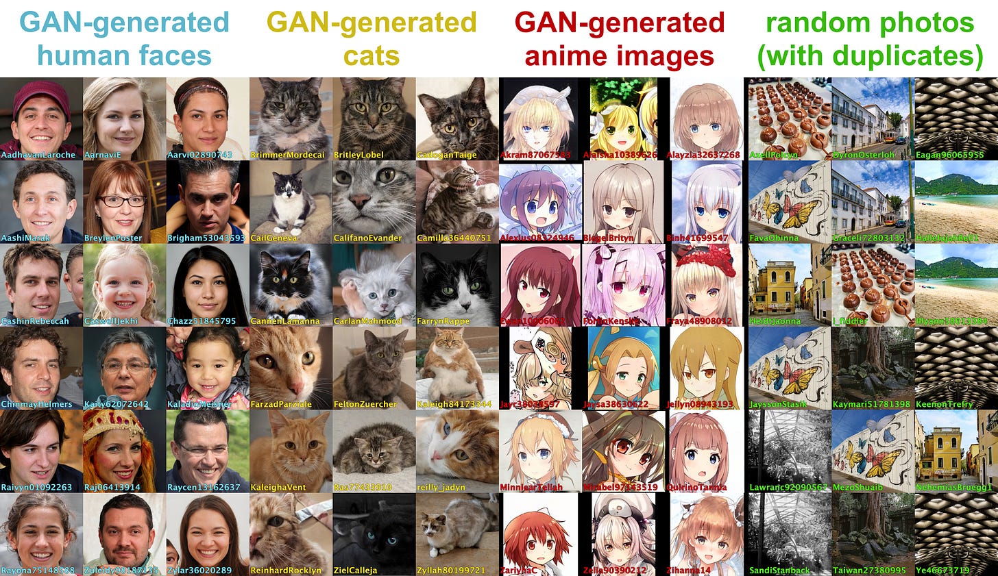 collage showing images of each type: GAN-generated faces, GAN-generated cats, GAN-generated anime images, random photos