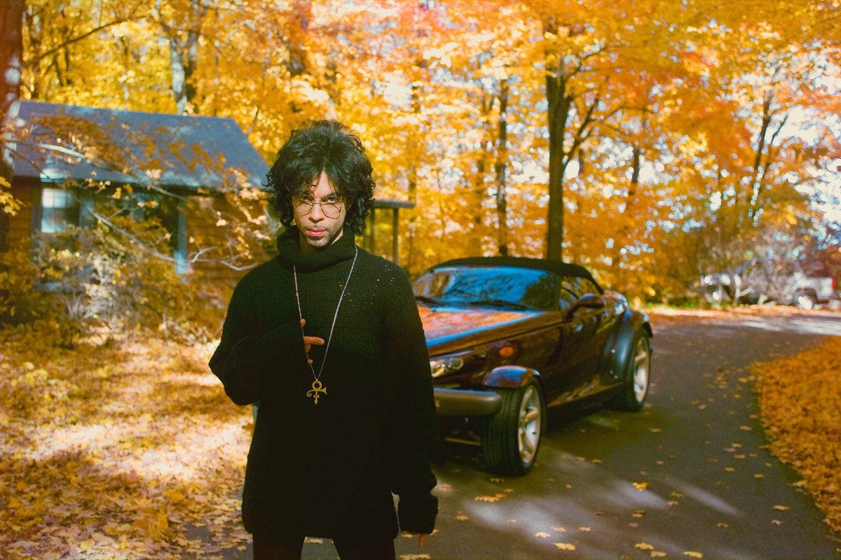 Prince stands before us in a woodland area where leaves have turned orange and his car is in the background. he appears to have arrived to meet us. he looks pensive and serious. 