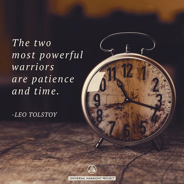 The two most powerful warriors are patience and time. -Leo Tolstoy #patience  #time #quotestoliveby #tolstoy #fridayquotes #frid… | Leo tolstoy, Tolstoy,  Be patience