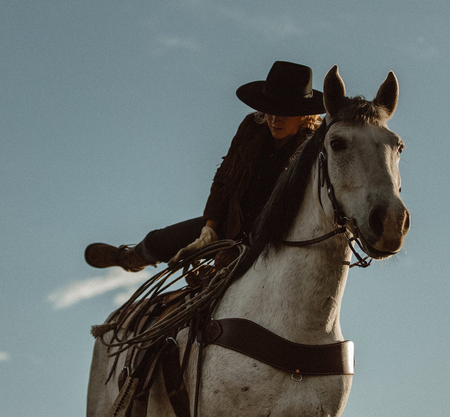 Titelbild: Eine weiblich lesbare Reiterin in dunkler Western-Kleidung mit schwarzem Hut und blonden Haaren steigt von einem gräulich-weißen Pferd mit schwarzer Mähne ab, dessen Oberkörper von schräg-unten-vorne zu sehen ist. Das Pferd scheint, in die Kamera zu blicken.