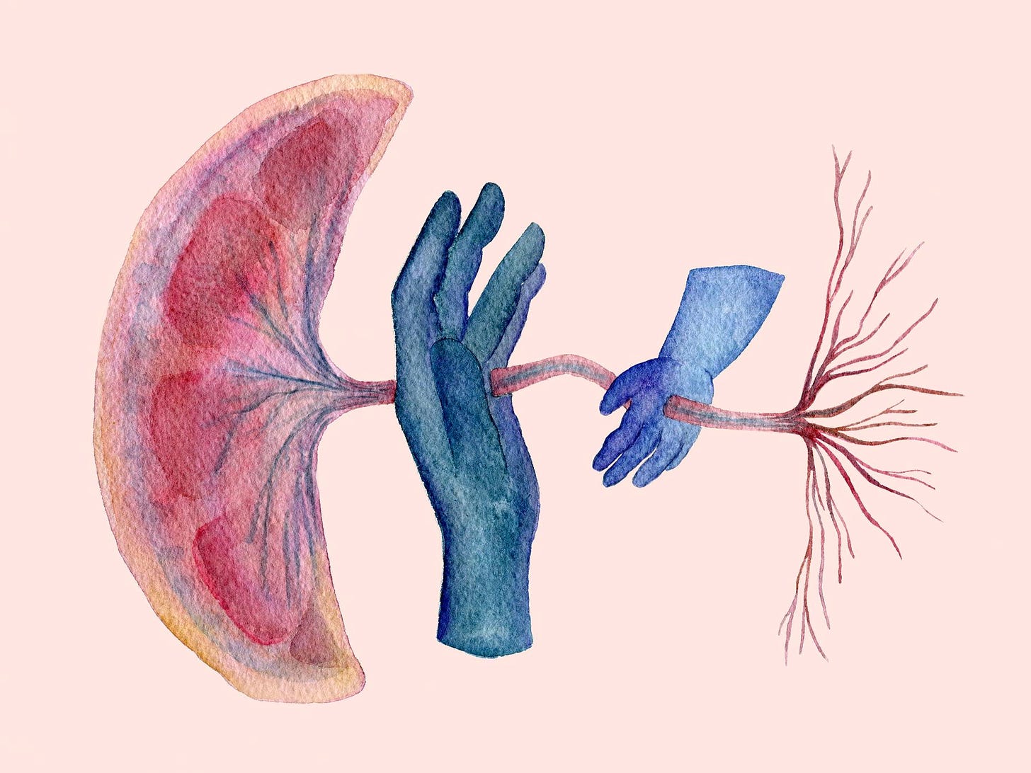 Tekening van een placenta en de navelstreng. Tussen de navelstreng zie je een grote en kleine hand in het blauw