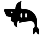Shark — Squalo