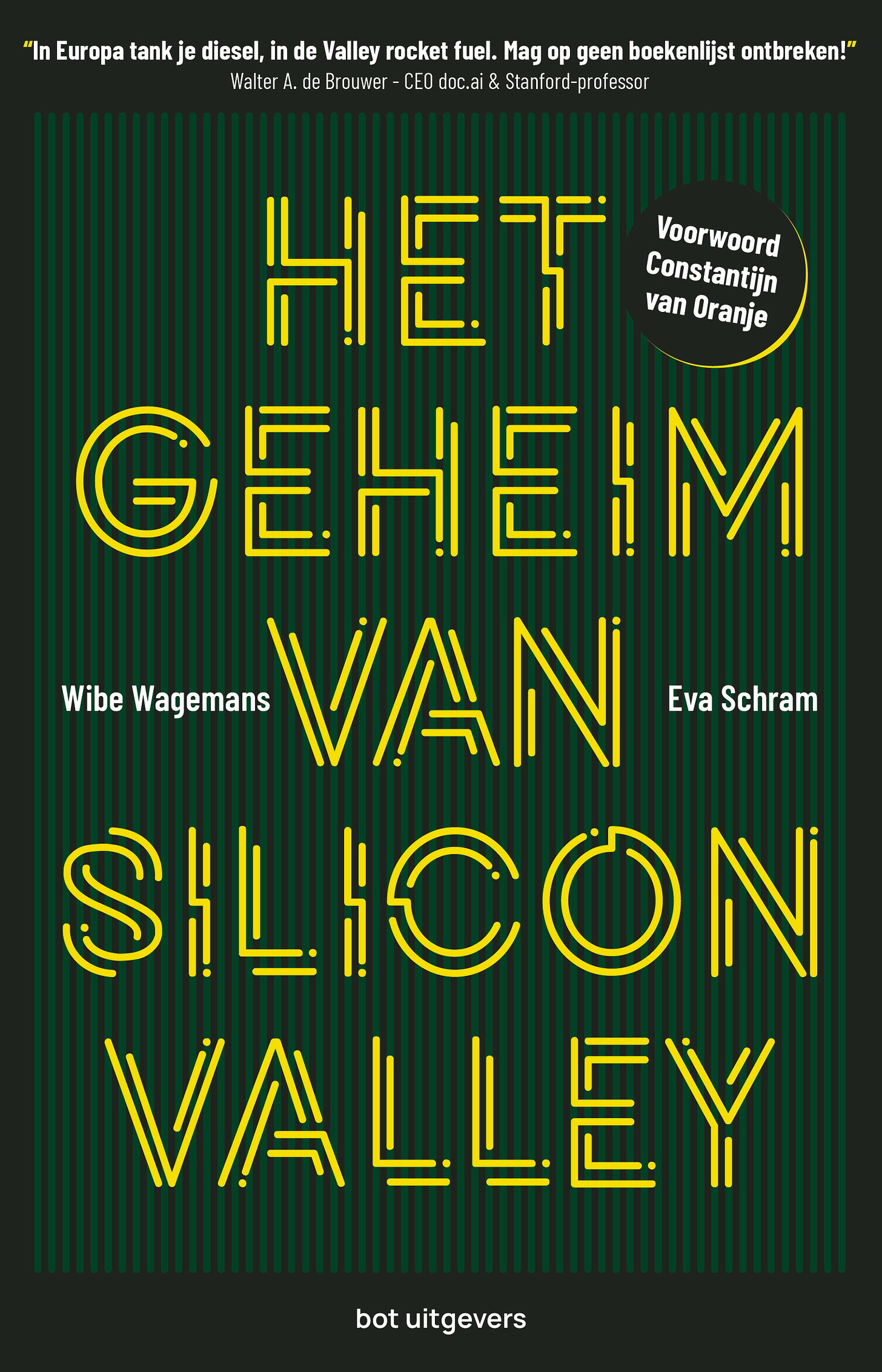 Het geheim van Silicon Valley door Eva Schram en Wibe Wagemans