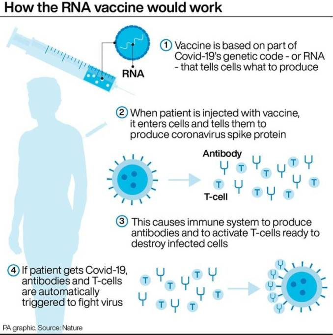 RNA vaccine