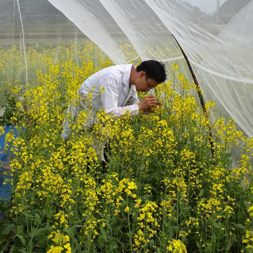 Image of researcher among flowers.