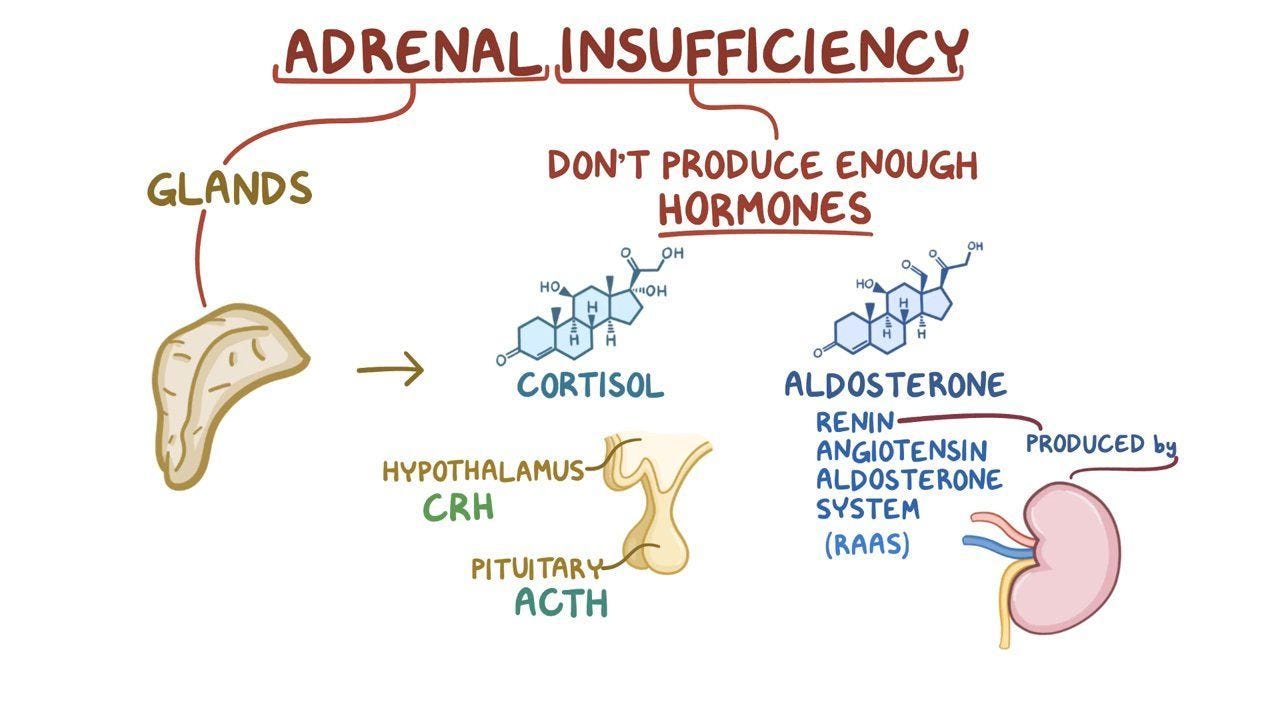 Adrenal insufficiency: Clinical practice - Osmosis