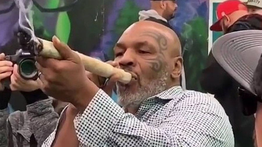 Mike Tyson é visto fumando baseado gigante em festival