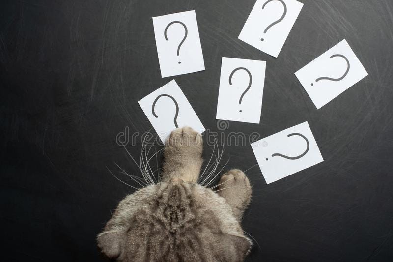The Cat is Trying To Sneak Stickers with a Question Mark Stock Image -  Image of confusion, asking: 131204909