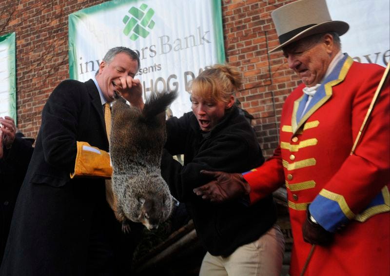 Groundhog Day observed at the Staten Island Zoo on Sun., February 2, 2014, where Staten Island Chuck predicted six more weeks of winter. Mayor Bill de Blasio had a little trouble keeping a handle on Chuck.