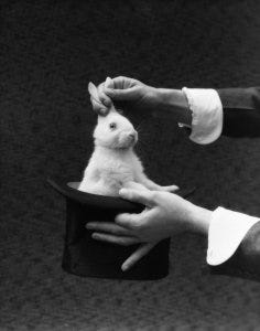 1930s Magician Hands Pulling Rabbit Out Of Top Hat
