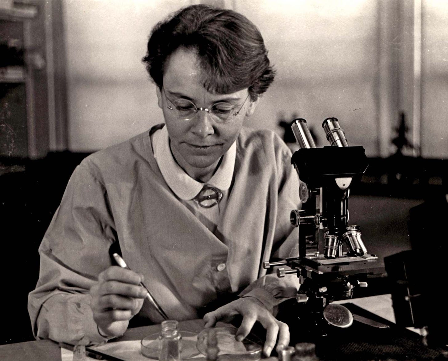 A middle-aged McClintock at her microscope