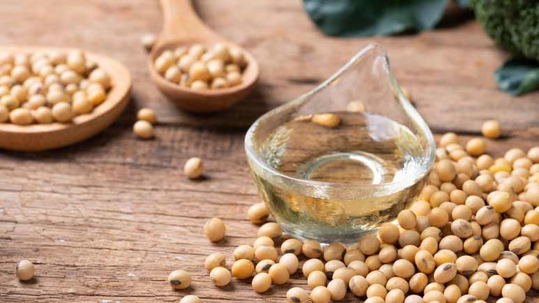 soybean oil cause genetic changes brain