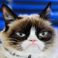 Grumpy Cat's Death Marks the End of the Joyful Internet | WIRED