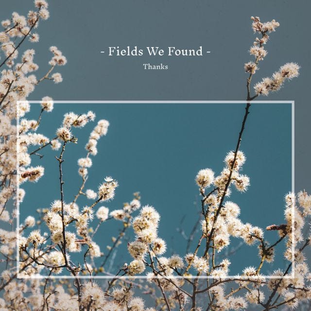 Fields We Found