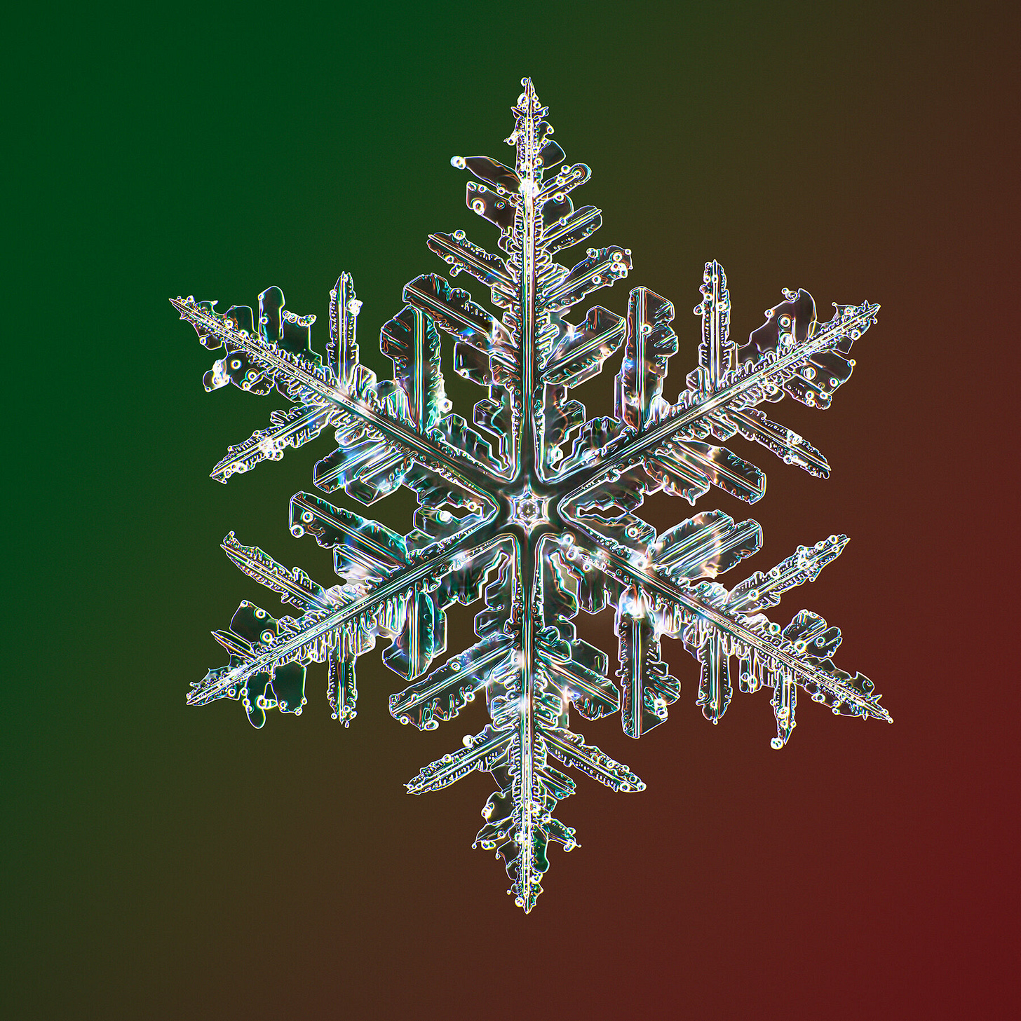 Photos of Snowflakes Like You&#39;ve Never Seen Them Before - The New York Times