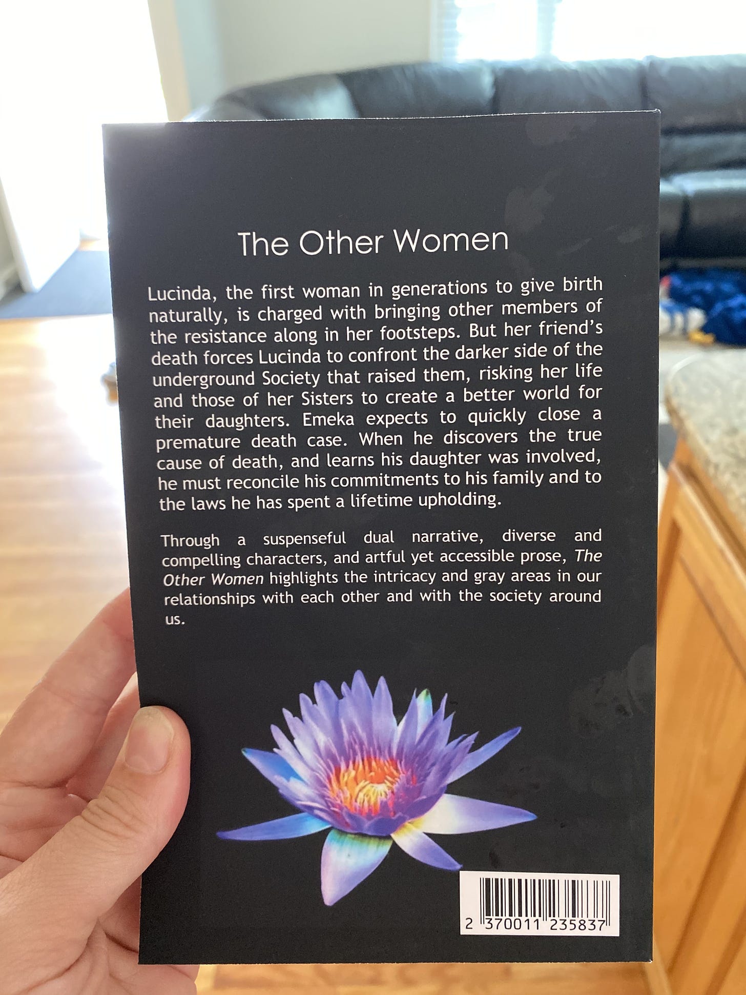 Back cover of The Other Women