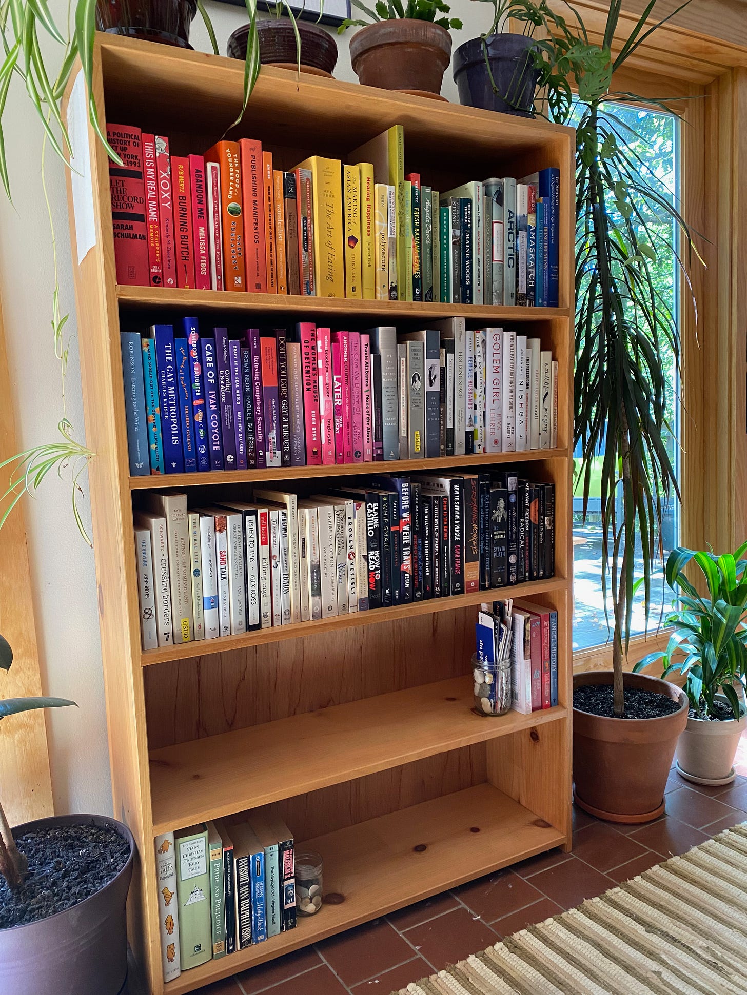 A tall wooden bookshelf. The top three shelves are packed with books in rainbow order; the bottom two are mostly empty. There are several large plants next to it. 