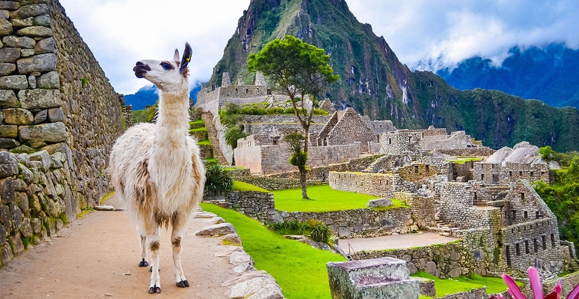 The rise and fall of the Inca Empire is recorded in llama poo | Natural  History Museum