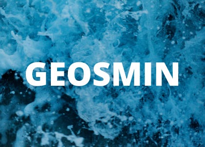 water nerds podcast geosmin