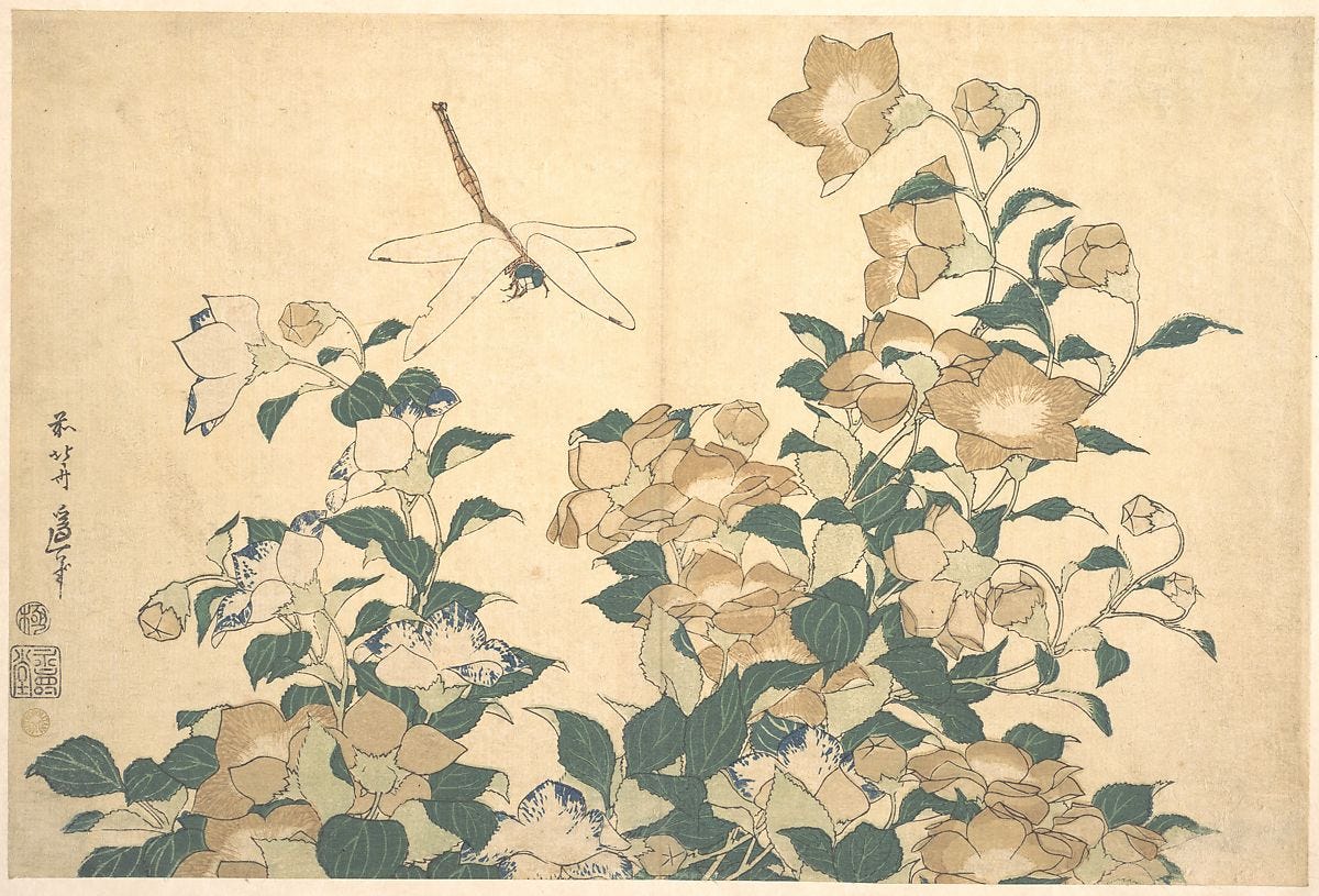 Dragonfly and Bellflower, Katsushika Hokusai (Japanese, Tokyo (Edo) 1760–1849 Tokyo (Edo)), Woodblock print (surimono); ink and color on paper, Japan Dragonfly and Bellflower, Katsushika Hokusai (Japanese, Tokyo (Edo) 1760–1849 Tokyo (Edo)), Woodblock print (surimono); ink and color on paper, Japan