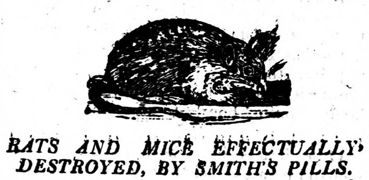 Smith's Pills Advert, 1800s