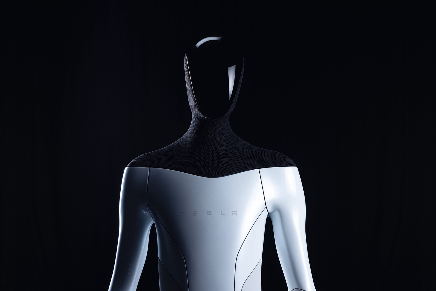 Tesla Bot: Elon Musk unveils humanoid robots; prototype aimed to 2022